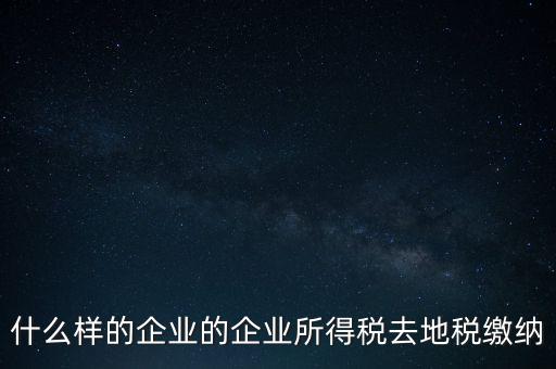 什么樣的企業(yè)的企業(yè)所得稅去地稅繳納