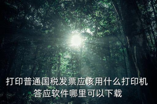 打國稅發(fā)票用什么軟件，打印普通國稅發(fā)票應(yīng)該用什么打印機(jī) 答應(yīng)軟件哪里可以下載