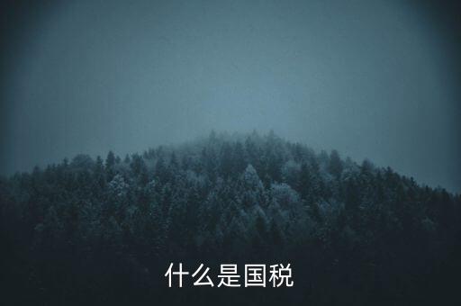 2017年國稅是什么，2017年我國財(cái)政稅收是多少