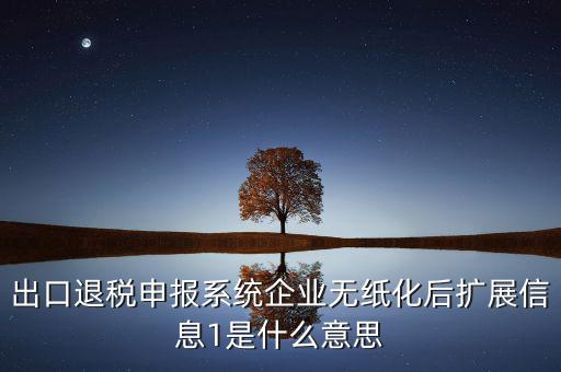 出口退稅申報系統(tǒng)企業(yè)無紙化后擴展信息1是什么意思