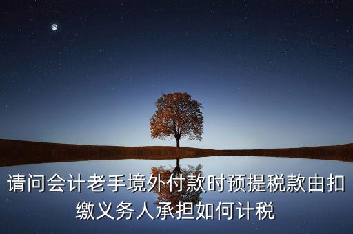 請(qǐng)問(wèn)會(huì)計(jì)老手境外付款時(shí)預(yù)提稅款由扣繳義務(wù)人承擔(dān)如何計(jì)稅