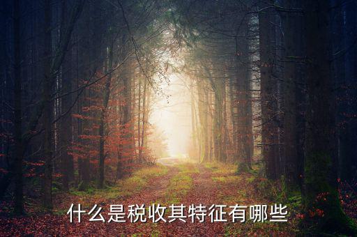 稅收的特點(diǎn)是什么意思，稅收的實(shí)質(zhì)和特征