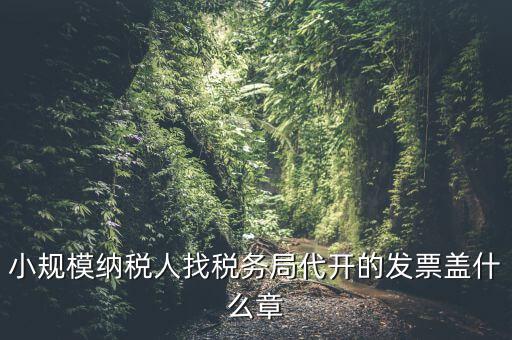 小規(guī)模納稅人找稅務局代開的發(fā)票蓋什么章