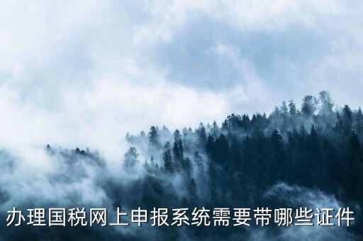 辦理國稅網(wǎng)上申報系統(tǒng)需要帶哪些證件