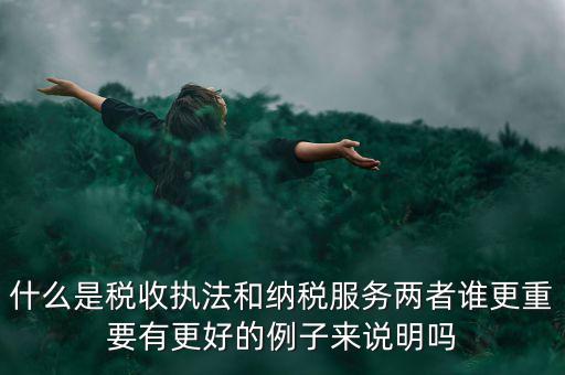 什么是稅收執(zhí)法和納稅服務(wù)兩者誰更重要有更好的例子來說明嗎