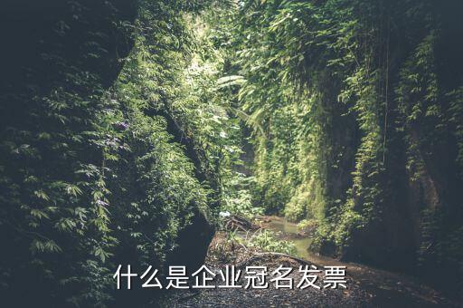 冠名發(fā)票屬于什么發(fā)票，什么是企業(yè)冠名發(fā)票