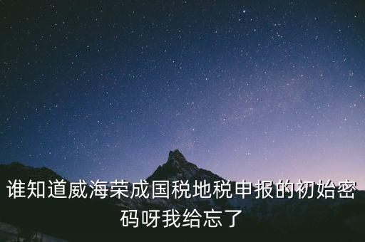 申報地稅的密碼是什么，徐州地稅網(wǎng)上申報的初始密碼是多少啊