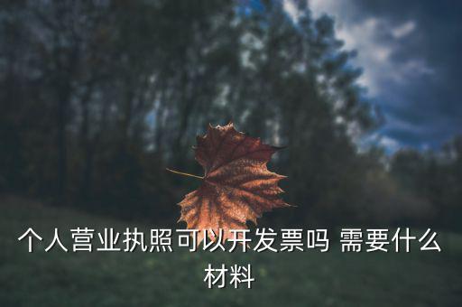 個(gè)體打印發(fā)票需要什么，個(gè)人購(gòu)物開增值稅普通發(fā)票需要什么資料