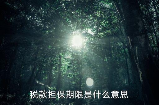 納稅擔(dān)保人什么意思，稅款擔(dān)保期限是什么意思