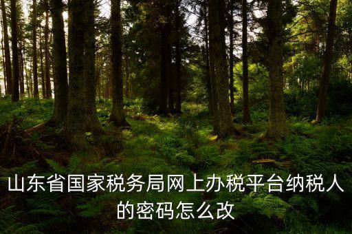 山東省國家稅務局網上辦稅平臺納稅人的密碼怎么改