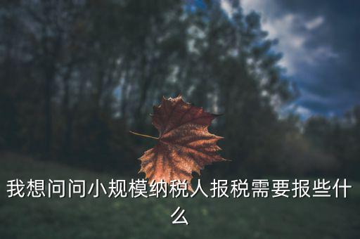 小規(guī)模國稅申報些什么，小規(guī)模納稅人國稅需要報什么資料