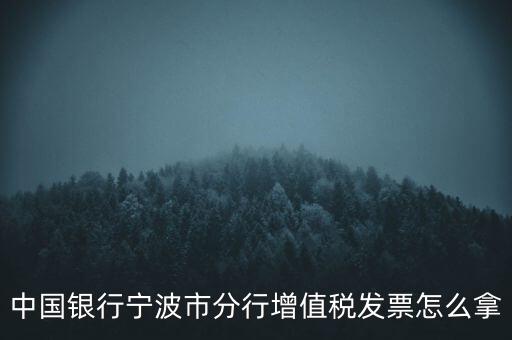 寧波國稅過發(fā)票要帶什么，浙江地區(qū)公司首次拿發(fā)票去國稅局需要帶什么證件