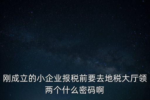 繳稅服務廳口令輸什么，剛成立的小企業(yè)報稅前要去地稅大廳領兩個什么密碼啊