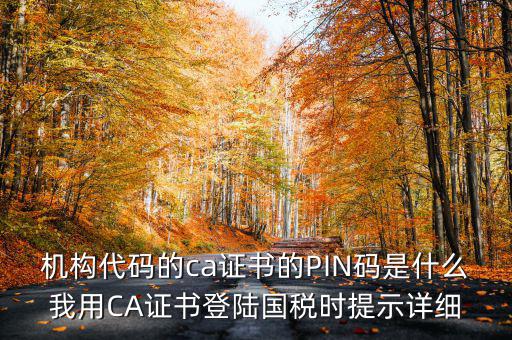 國稅ca證書登錄 密碼是什么，國稅第一次網(wǎng)上申報的登陸密碼是什么