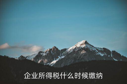 企業(yè)所得稅什么時候繳納