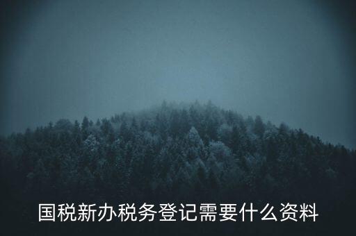 國稅新辦稅務登記需要什么資料