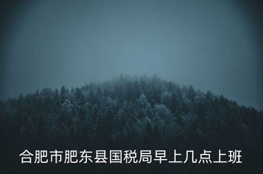 安徽國稅什么時(shí)候上班時(shí)間，國稅局的上班時(shí)間