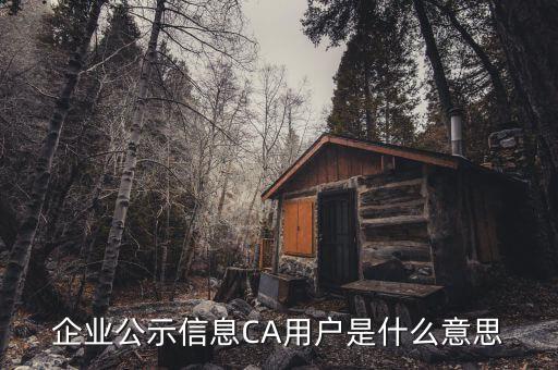 納稅人ca用戶是什么意思，什么是CA用戶啊