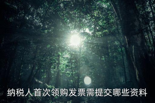 納稅人首次領購發(fā)票需提交哪些資料