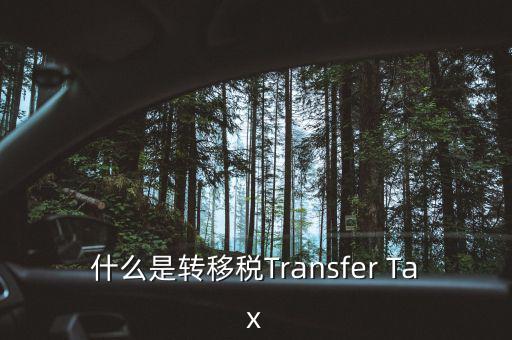 什么是跨地區(qū)稅收轉(zhuǎn)移企業(yè)，什么是轉(zhuǎn)移稅Transfer Tax