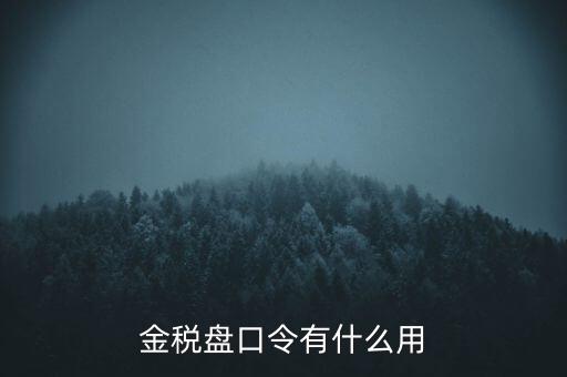 報稅數(shù)字證書口令是什么，陜西天暢偉業(yè)的網(wǎng)上報稅系統(tǒng)的登錄口令是什么