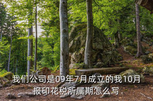 我們公司是09年7月成立的我10月報(bào)印花稅所屬期怎么寫(xiě)