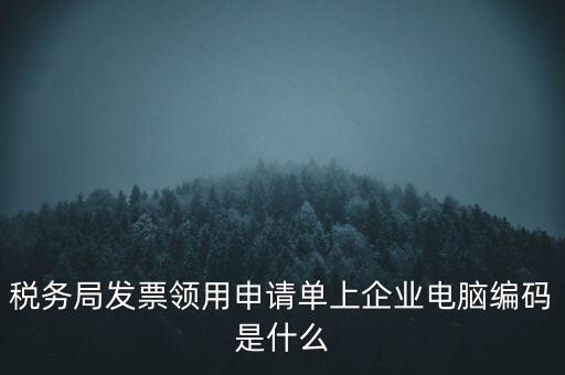 稅務(wù)局發(fā)票領(lǐng)用申請單上企業(yè)電腦編碼是什么