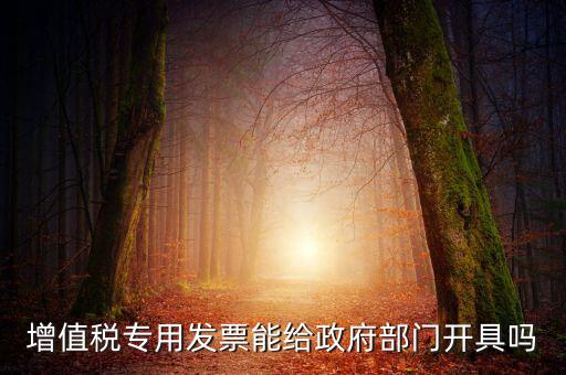 什么內(nèi)容的發(fā)票不可以給政府部門，增值稅專用發(fā)票能給政府部門開具嗎