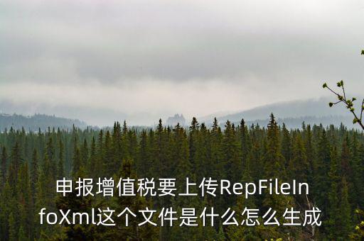 申報(bào)增值稅要上傳RepFileInfoXml這個(gè)文件是什么怎么生成