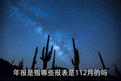 年報是指哪些報表是112月的嗎