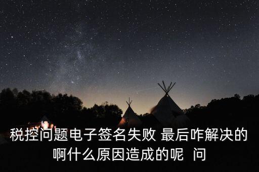 什么是稅控簽名，報稅時數(shù)字簽名是甚么意思