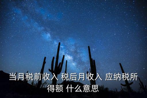 當(dāng)月稅前收入 稅后月收入 應(yīng)納稅所得額 什么意思