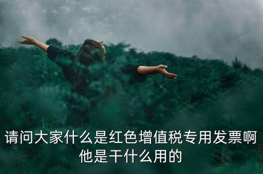 請(qǐng)問大家什么是紅色增值稅專用發(fā)票啊他是干什么用的