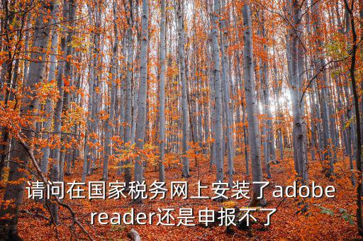 請問在國家稅務網(wǎng)上安裝了adobe reader還是申報不了