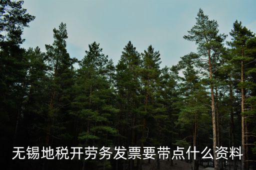 無錫地稅開勞務發(fā)票要帶點什么資料