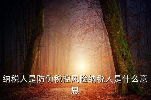 納稅人是防偽稅控風(fēng)險納稅人是什么意思