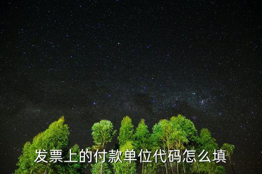 發(fā)票單位名稱是什么，增值稅普通發(fā)票的單位名稱