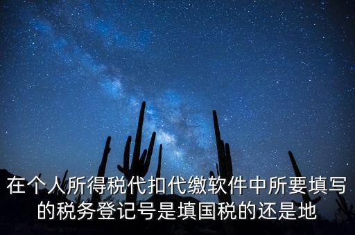 在個(gè)人所得稅代扣代繳軟件中所要填寫的稅務(wù)登記號(hào)是填國(guó)稅的還是地