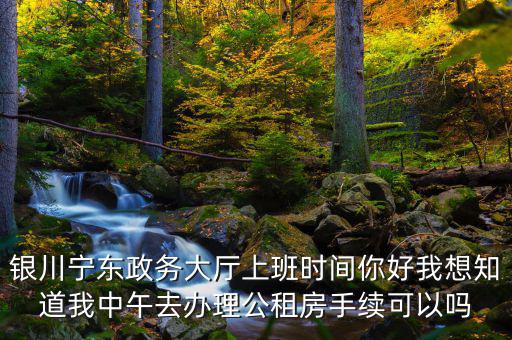 銀川寧東政務(wù)大廳上班時間你好我想知道我中午去辦理公租房手續(xù)可以嗎