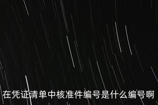 在憑證清單中核準(zhǔn)件編號是什么編號啊