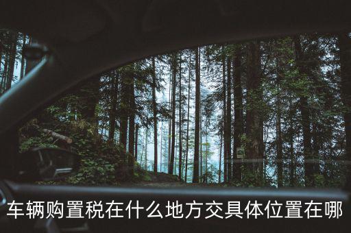 榆次汽車購置稅在什么地方交，車輛購置稅在什么地方交具體位置在哪