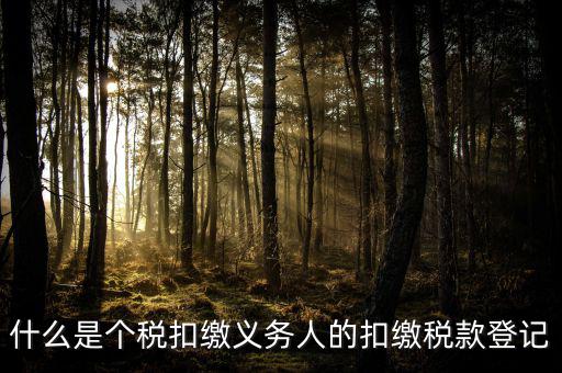 什么是個稅扣繳義務(wù)人的扣繳稅款登記