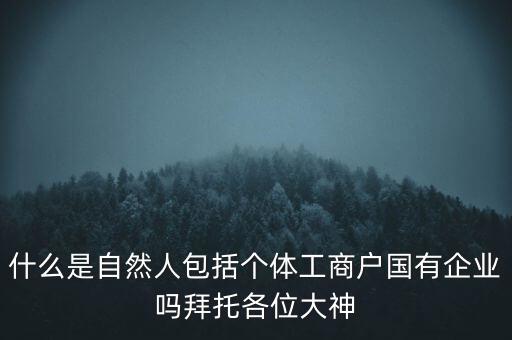 什么是稅務(wù)中的自然人，會(huì)計(jì)中自然人所指的是那種人