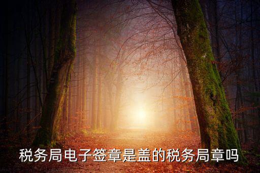 稅務(wù)局電子簽章是什么，在國稅系統(tǒng)電子簽章時為什么不是每次都提示輸入口令