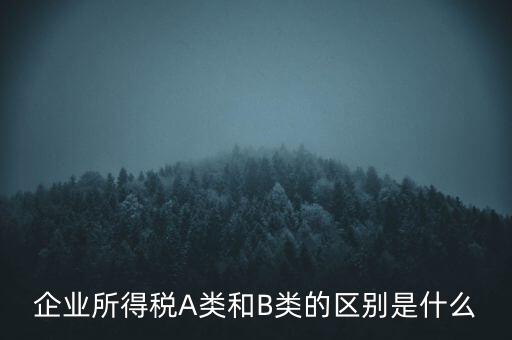 企業(yè)所得稅b類是什么意思，企業(yè)所得稅A類和B類的區(qū)別是什么