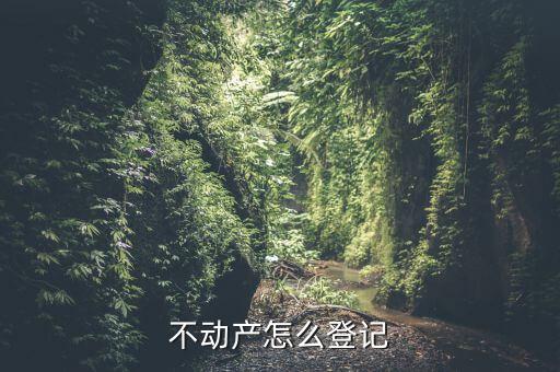 不動(dòng)產(chǎn)怎么登記