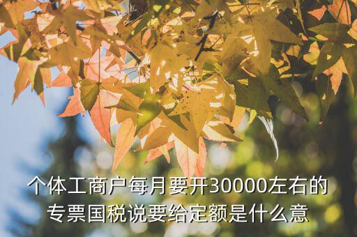 國稅定額是什么意思，個體工商戶每月要開30000左右的專票國稅說要給定額是什么意