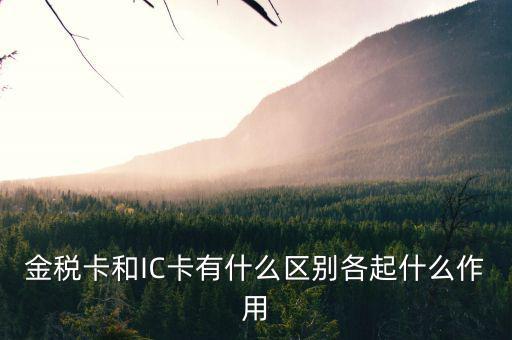 報(bào)稅ic卡是什么，報(bào)稅IC卡是什么東西有什么用