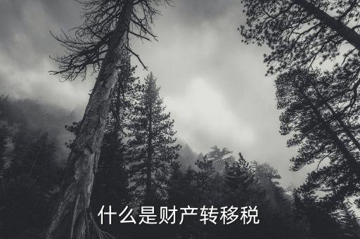 什么是財(cái)產(chǎn)轉(zhuǎn)移稅