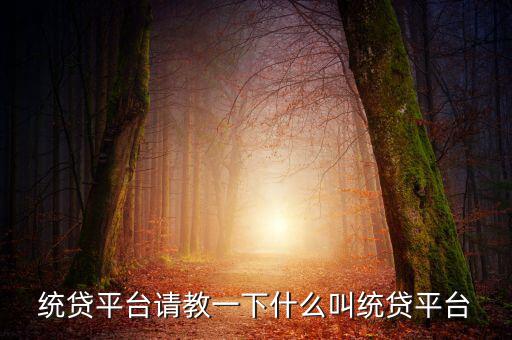 統(tǒng)貸平臺請教一下什么叫統(tǒng)貸平臺